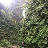 Review photo of Gold Bluffs Beach Campground — Prairie Creek Redwoods State Park by Daniel S., October 16, 2017