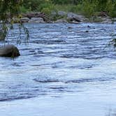 Review photo of Guadalupe River RV Park and Campgrounds by Deborah C., June 10, 2020