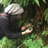 Review photo of Gold Bluffs Beach Campground — Prairie Creek Redwoods State Park by Daniel S., October 16, 2017
