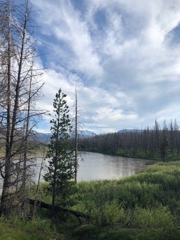 Camper submitted image from Snake River Dispersed - Rockefeller Memorial Parkway - 4