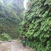 Review photo of Gold Bluffs Beach Campground — Prairie Creek Redwoods State Park by Daniel S., October 16, 2017