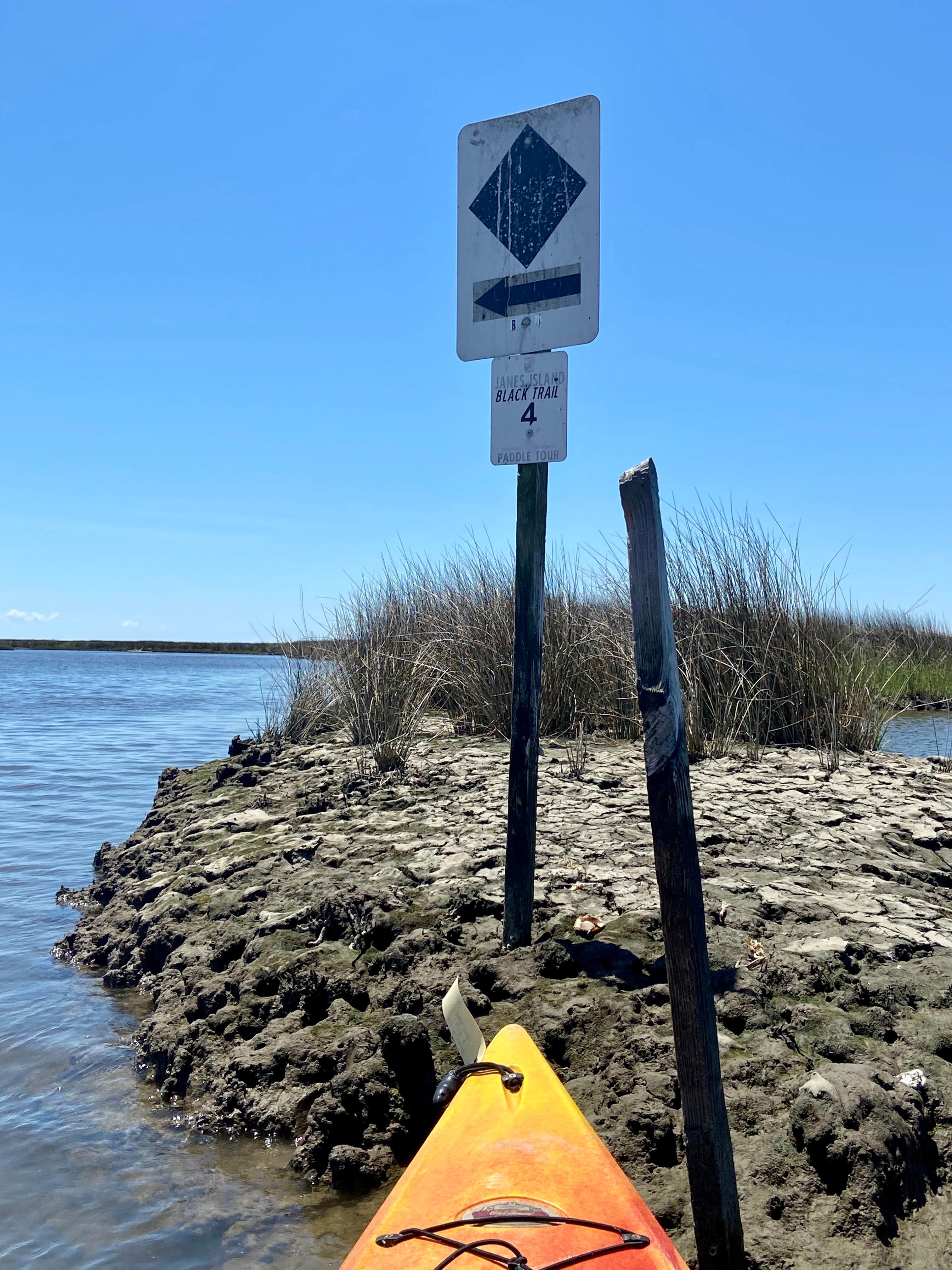 Camper submitted image from Janes Island State Park Campground - 5