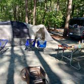 Review photo of Janes Island State Park Campground by Sean F., June 10, 2020