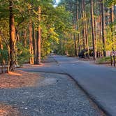 Review photo of Janes Island State Park Campground by Sean F., June 10, 2020