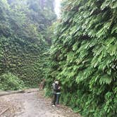 Review photo of Gold Bluffs Beach Campground — Prairie Creek Redwoods State Park by Daniel S., October 16, 2017