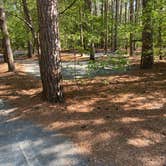 Review photo of Janes Island State Park Campground by Sean F., June 10, 2020