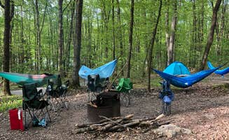 Bobbie S.'s photo at Locust Lake State Park Campground near Summit Station, PA