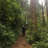 Review photo of Gold Bluffs Beach Campground — Prairie Creek Redwoods State Park by Daniel S., October 16, 2017