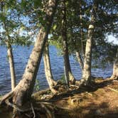 Review photo of Rangeley Lake State Park Campground by Darin S., June 10, 2020