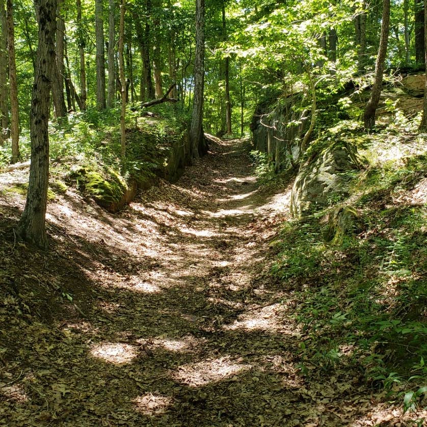 Patoka Lake Campground Camping The Dyrt