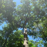 Review photo of Patoka Lake Campground by Stacey S., June 10, 2020