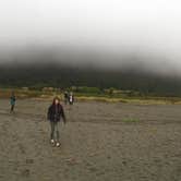 Review photo of Gold Bluffs Beach Campground — Prairie Creek Redwoods State Park by Daniel S., October 16, 2017