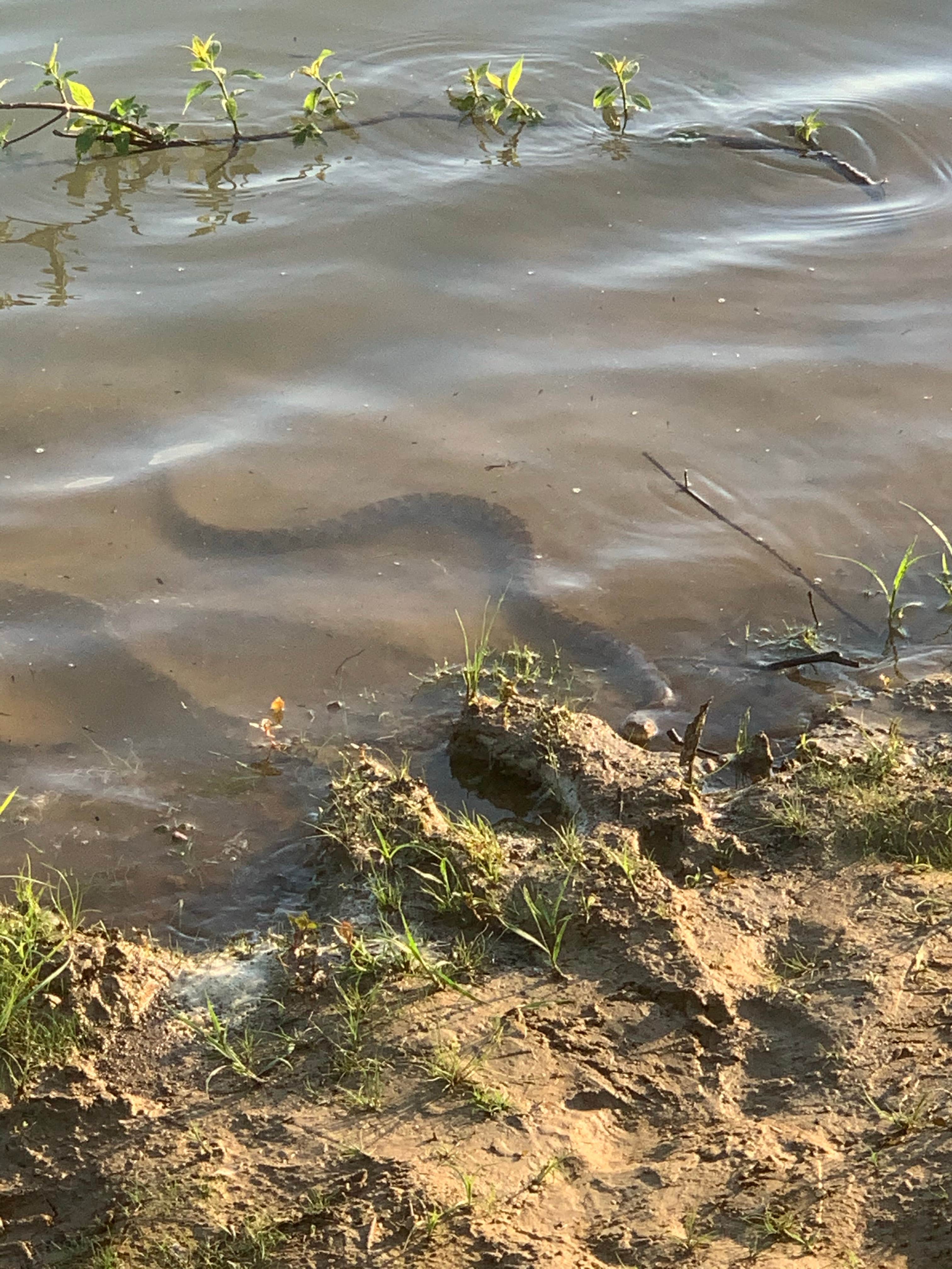 Camper-submitted photo at Patoka Lake Campground in Indiana