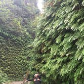 Review photo of Gold Bluffs Beach Campground — Prairie Creek Redwoods State Park by Daniel S., October 16, 2017