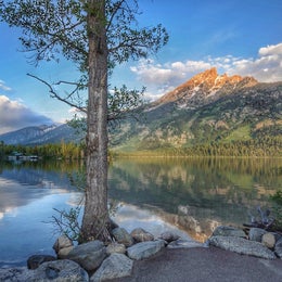 Public Campgrounds: Jenny Lake Campground — Grand Teton National Park