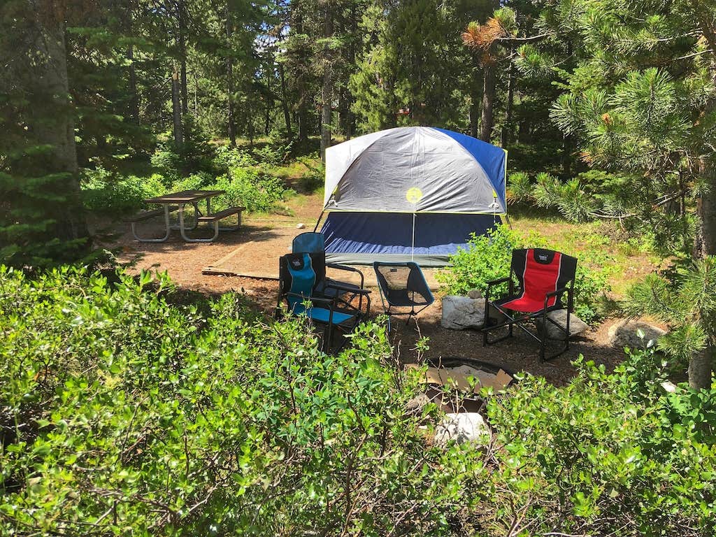 Tara S.'s photo of tent camping at Jenny Lake Campground — Grand Teton National Park near Jackson, WY