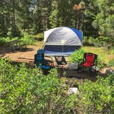 Review photo of Jenny Lake Campground — Grand Teton National Park by Tara S., June 10, 2020