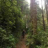 Review photo of Gold Bluffs Beach Campground — Prairie Creek Redwoods State Park by Daniel S., October 16, 2017