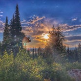Review photo of Jenny Lake Campground — Grand Teton National Park by Tara S., June 10, 2020