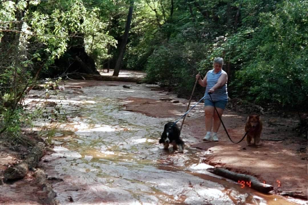 Joel R.'s photo of camping with pets at Providence Canyon State Park Campground near Americus, GA