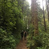 Review photo of Gold Bluffs Beach Campground — Prairie Creek Redwoods State Park by Daniel S., October 16, 2017