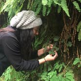 Review photo of Gold Bluffs Beach Campground — Prairie Creek Redwoods State Park by Daniel S., October 16, 2017