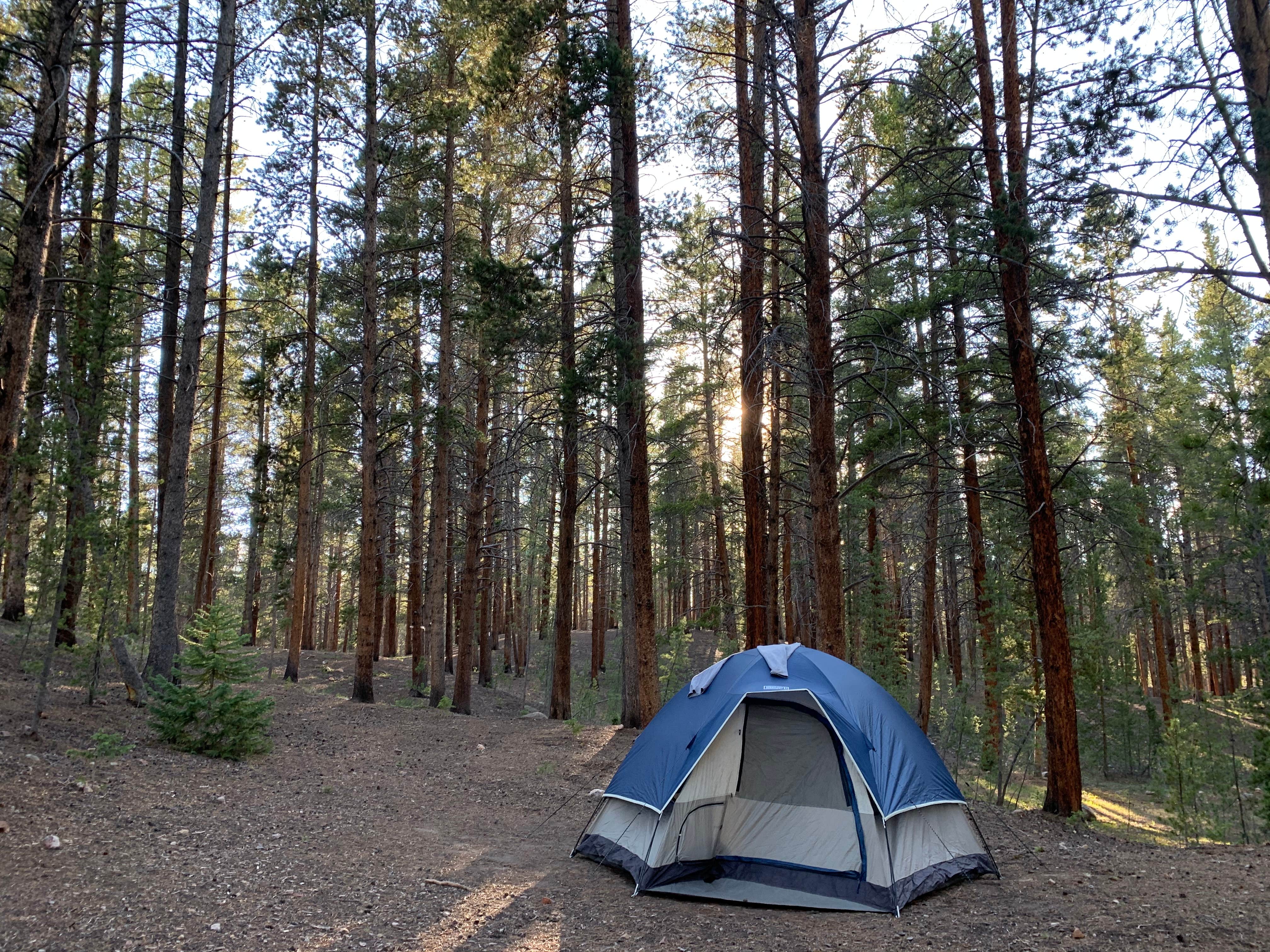 Nicole D.'s photo at Father Dyer near Climax, CO