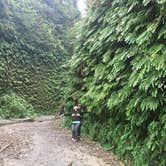 Review photo of Gold Bluffs Beach Campground — Prairie Creek Redwoods State Park by Daniel S., October 16, 2017