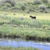 Review photo of Henrys Lake State Park Campground by Joel R., July 11, 2019