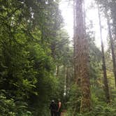 Review photo of Gold Bluffs Beach Campground — Prairie Creek Redwoods State Park by Daniel S., October 16, 2017