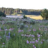 Review photo of Henrys Lake State Park Campground by Joel R., July 11, 2019