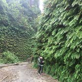 Review photo of Gold Bluffs Beach Campground — Prairie Creek Redwoods State Park by Daniel S., October 16, 2017