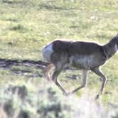 Review photo of Yellowstone Edge RV Park by Joel R., July 20, 2019