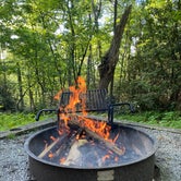Review photo of Black Rock Mountain State Park Campground by Lisa M., June 10, 2020