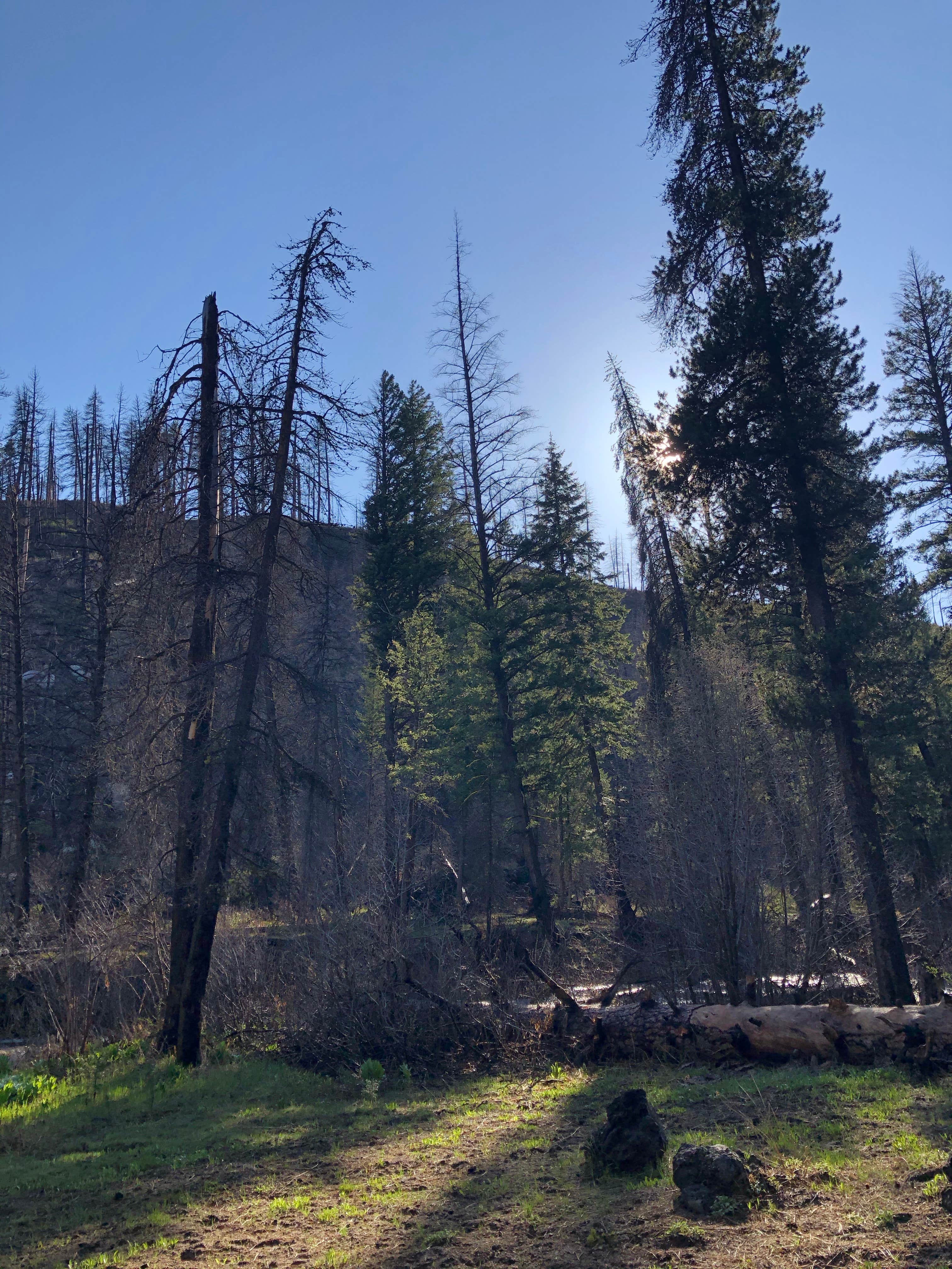 Camper-submitted photo at Ice Springs near Corral, ID