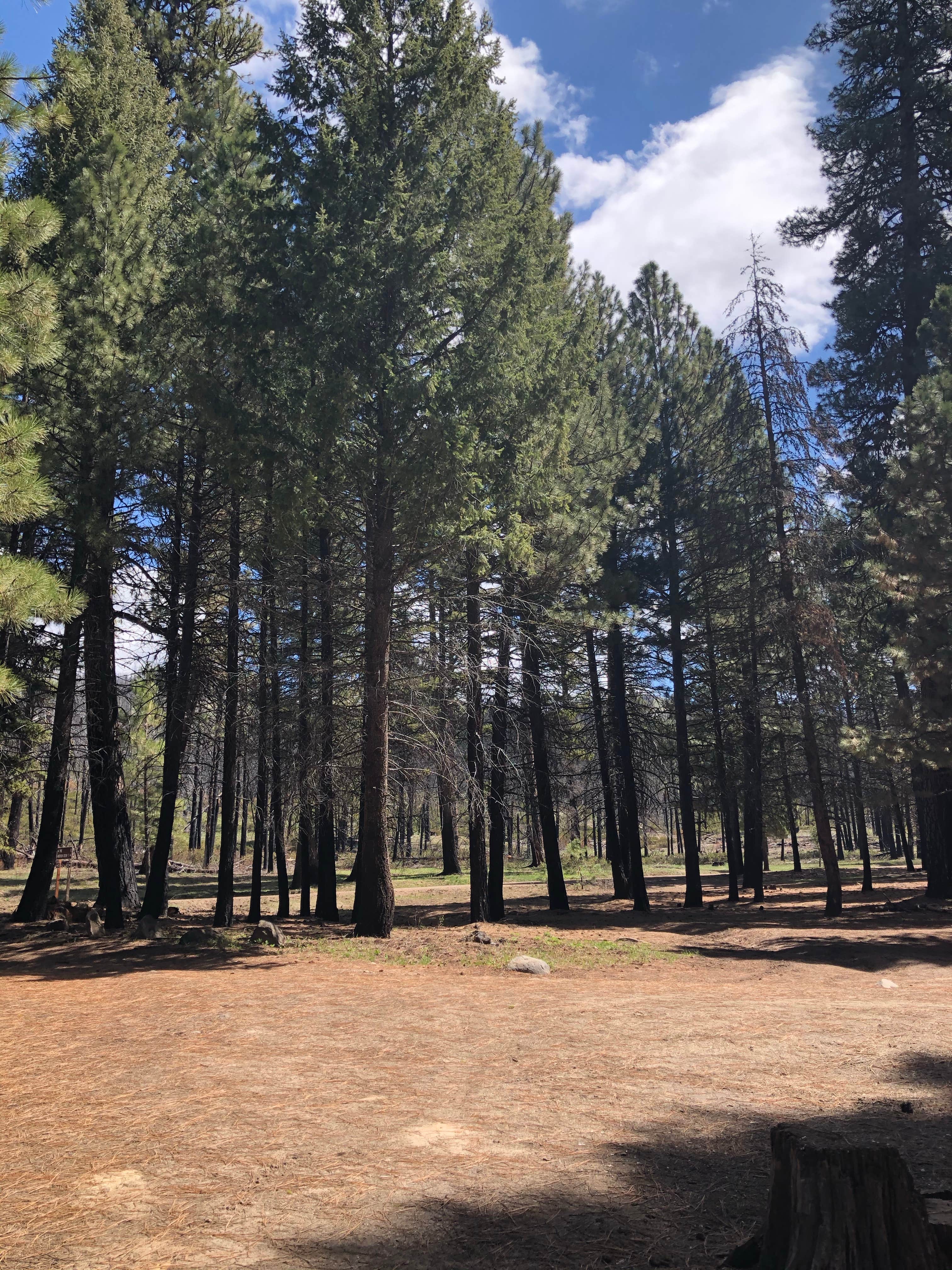 Camper-submitted photo at Ice Springs near Corral, ID