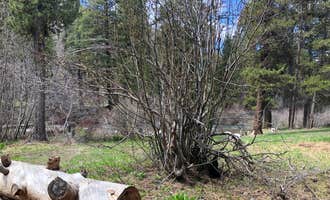 Camping near Mores Creek by Steamboat Gulch: Ice Springs, Corral, Idaho