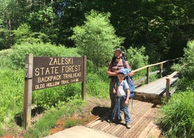 Zaleski State Forest