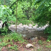 Review photo of Gooney Creek Campground by Michelle W., June 11, 2020
