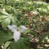 Review photo of Alum Creek State Park Campground by Renée C., March 10, 2020