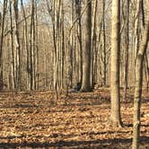 Review photo of Alum Creek State Park Campground by Renée C., March 10, 2020