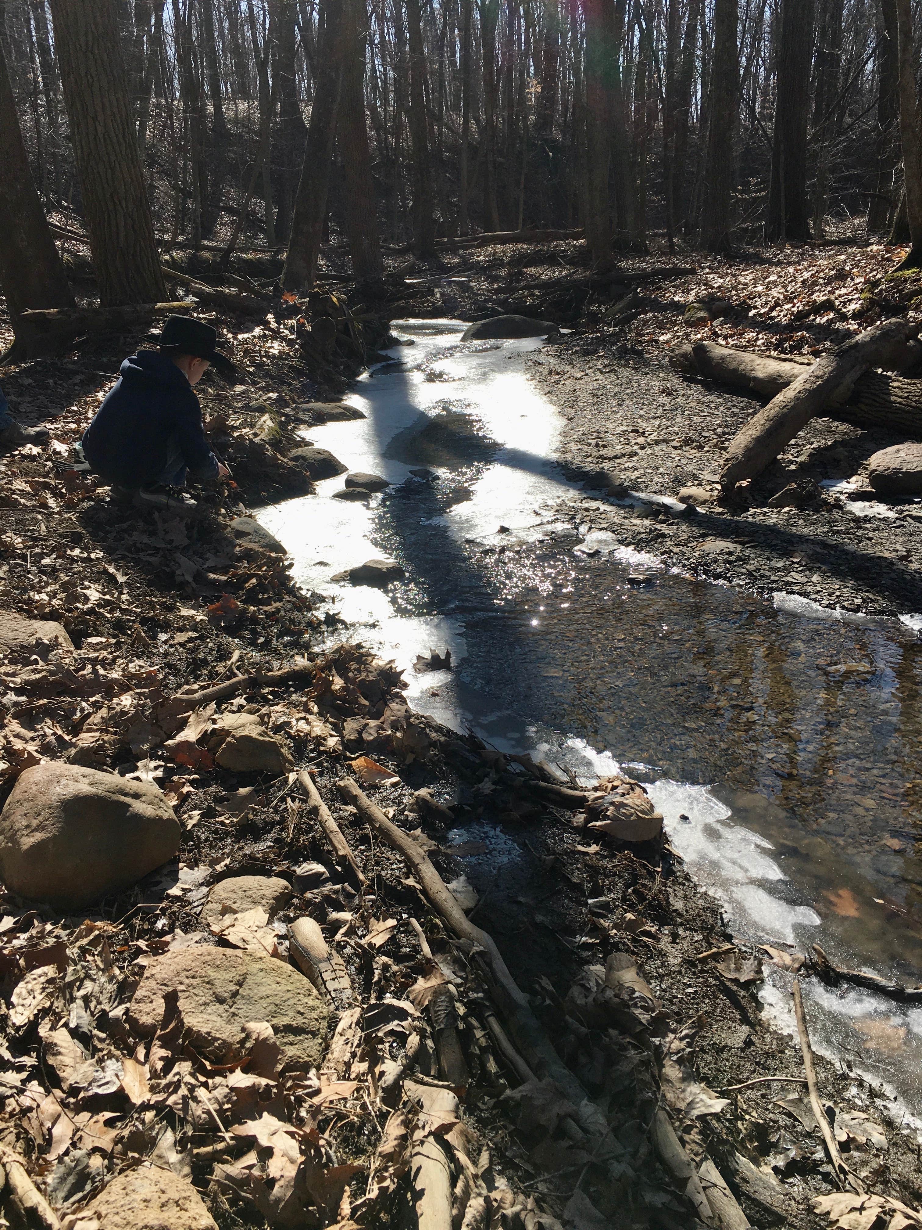 Camper-submitted photo at Alum Creek State Park Campground in Ohio
