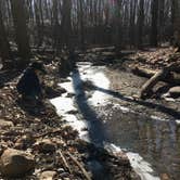 Review photo of Alum Creek State Park Campground by Renée C., March 10, 2020