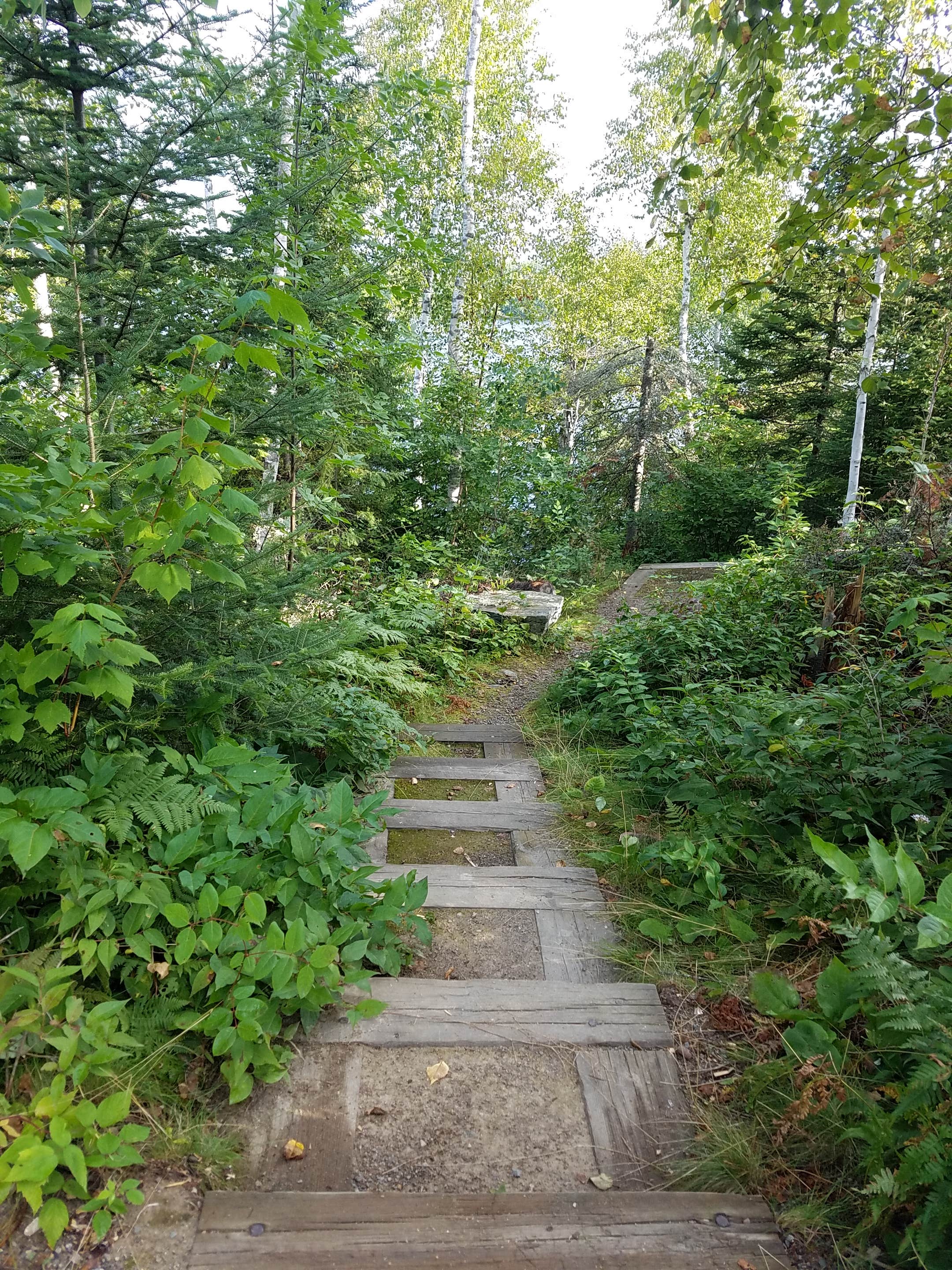 Camper submitted image from Superior National Forest Fall Lake Campground - 3