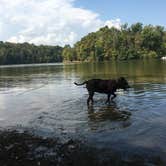 Review photo of Salt Fork State Park Campground by Renée C., March 10, 2020