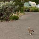 Review photo of Bryce View Campground — Kodachrome Basin State Park by Lisa N., June 10, 2020