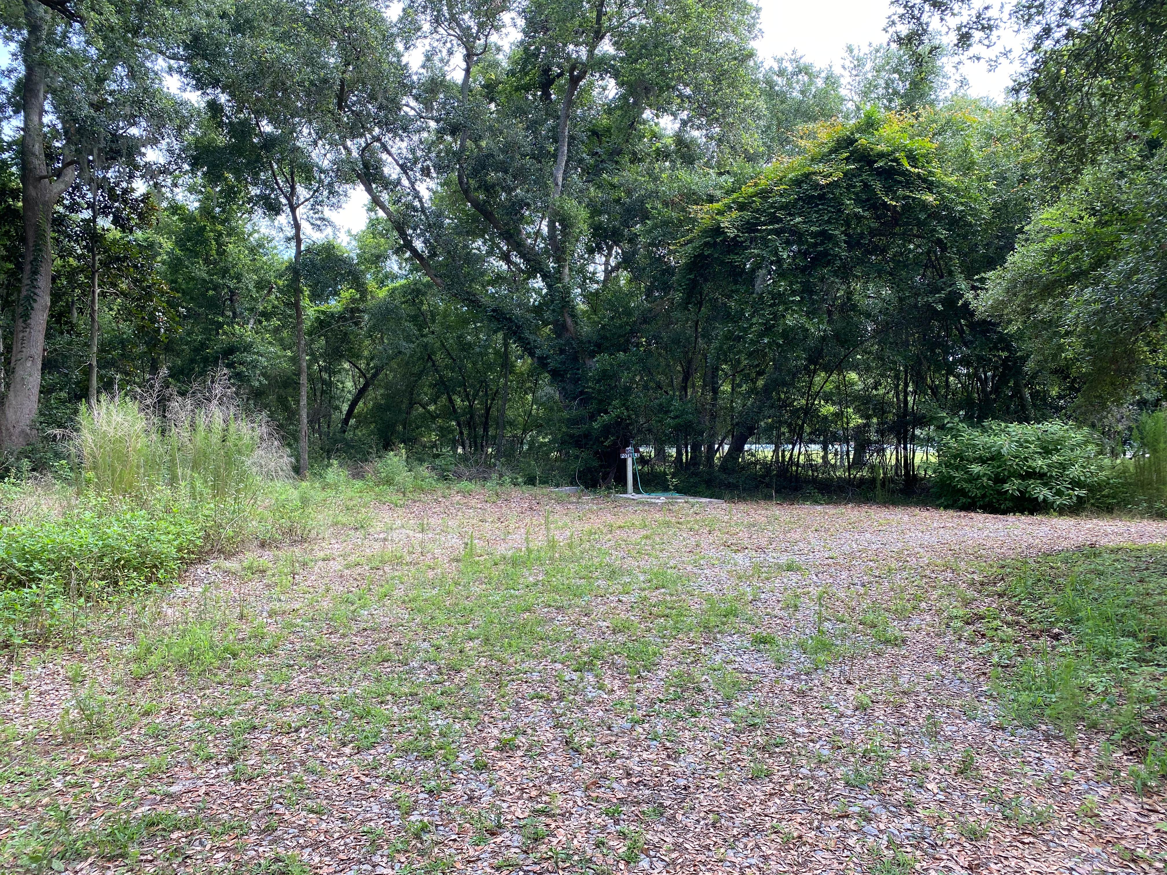 Camper-submitted photo at Camelot Farms Equestrian Center near Hollywood, SC