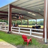 Review photo of Camelot Farms Equestrian Center by The School for  Y., June 11, 2020