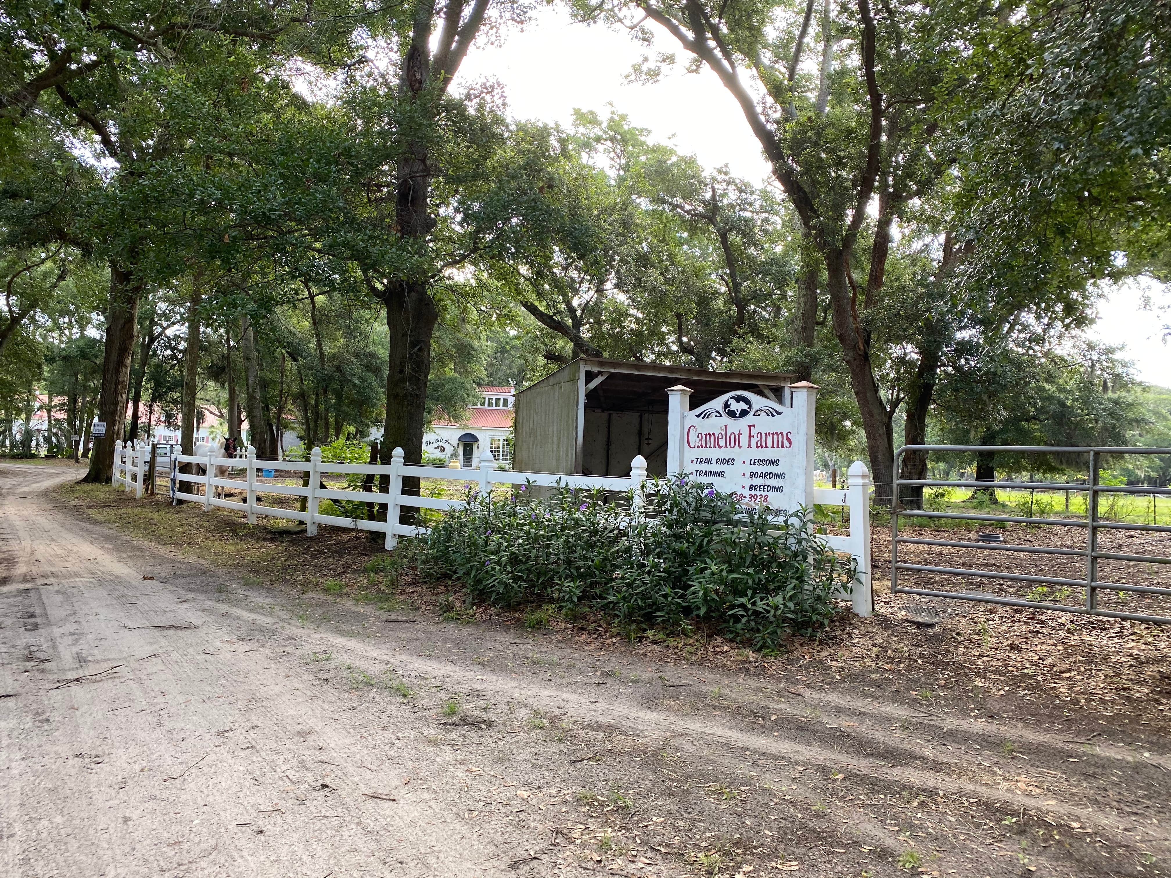 Camper-submitted photo at Camelot Farms Equestrian Center near Charleston, SC