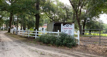 Camelot Farms Equestrian Center